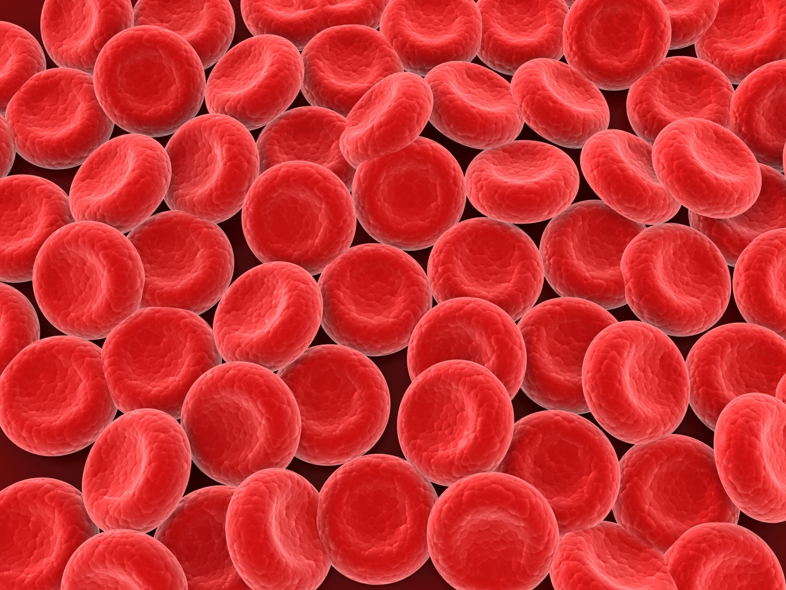 Misha Sakharoffs Protokol symboliseret ved en masse røde runde elementer.