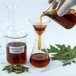 Papaya bladekstrakt symboliseret ved brun væske der hældes fra bægerglas op i kolbe via glastragt. Tørrede grønne blade på bordet ved siden af.