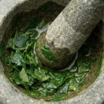 Papaya bladekstrakt symboliseret ved en stenmorter med en masse af grønne blade.