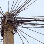 Protokoller ved kræft symboliseret ved en mast med en masse stålwirer ud fra toppen.