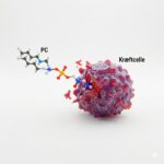 Fosfatidylkolin symboliseret ved en tumor, der angribes af et dna.