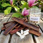 Honikiol symboliseret ved del af udendørs bordplade, hvor der ligger nogle hvide kapsler, nogle barkstykker et glas vand og en gren fra mahognitræ.