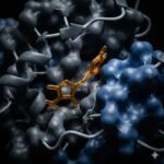 Piperin symboliseret ved nogle modeller af molekyler i sort, blåt og rødligt.