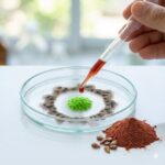 Proanthocyanidiner symboliseret ved en petriskål hvor der dryppes rød væske ned på grøn midte. Omkring denne er en blå-grå cirkel af substans.