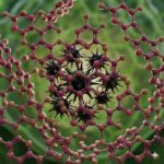 Proanthocyanidiner symboliseret ved et grovmasket net, hvor nogle tråde er brudt. Der ligger nogle sorte celler bag disse. Grøn baggrund.