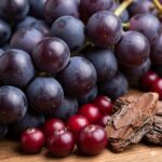 Proanthocyanidiner symboliseret ved nogle druer, tranebær og barkstykker af kanel.