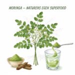 Moringa symbolised by a drawing of the plant, a glass being poured with powder, some powder in a bowl, and dried seed pods.