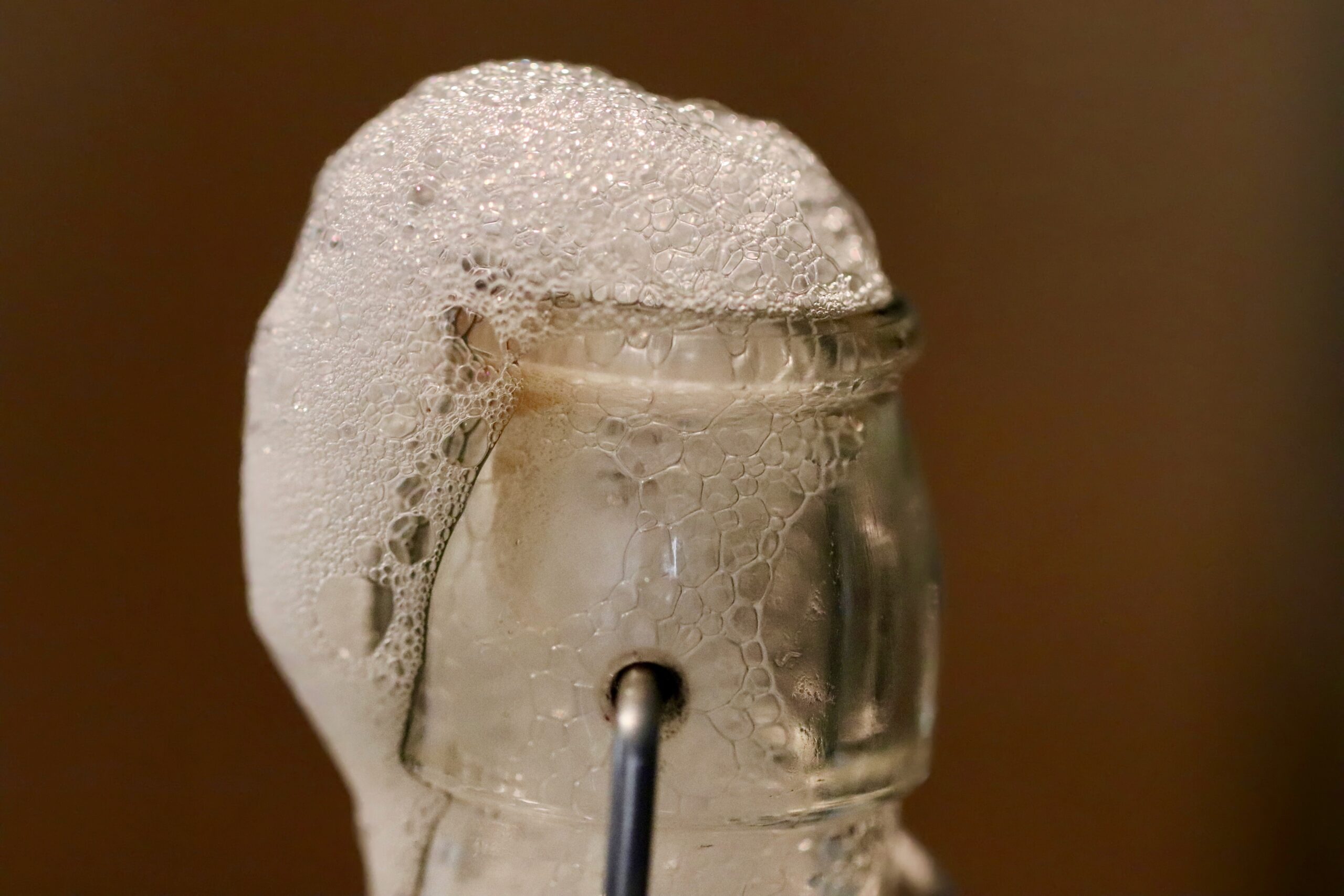 Fermenterede fødevarer symboliseret ved halsen på en klar glasflaske, hvor der skummer væske over.