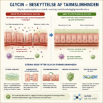 Glycin symboliseret ved en planche med forskellig små tekst og to billeder af princip-tarmvæv.