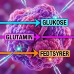 Samtale med AI om metabolisk blokering illustreret ved en lilla tumorcelle og hvordan den får blokeret glukose, glutamin og fedtsyrer.